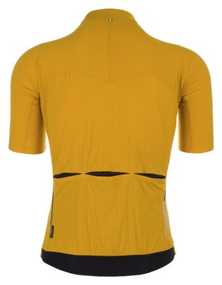 Q36.5 Pinstripe PRO Short Sleeve Jersey Yellow