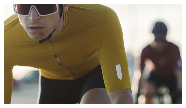 Maillot de manga corta Q36.5 Pinstripe PRO Amarillo