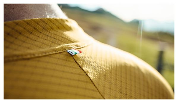 Maillot de manga corta Q36.5 Pinstripe PRO Amarillo