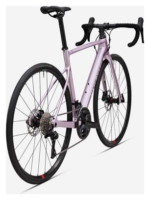 Van Rysel NCR CF Bicicleta de Carretera Shimano 105 12S 700mm Rosa 2024