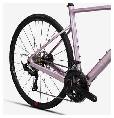 Vélo de Route Van Rysel NCR CF Shimano 105 12V 700mm Rose 2024