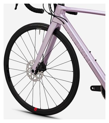 Vélo de Route Van Rysel NCR CF Shimano 105 12V 700mm Rose 2024