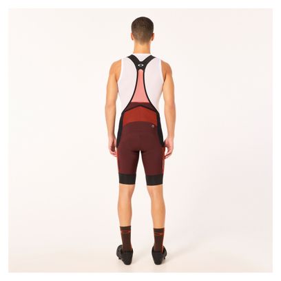 Kurze Oakley Off Grid Cargo Bordeaux Trägerhose