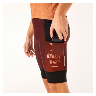 Kurze Oakley Off Grid Cargo Bordeaux Trägerhose