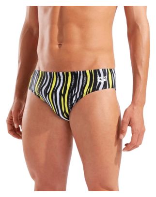 Arena Stripes Men's Black/Multicolor Swimsuit