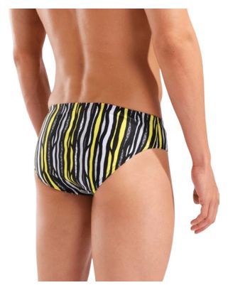 Arena Stripes Men's Black/Multicolor Swimsuit