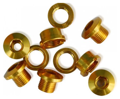 ICE Set von 5 Kettenblattschrauben R-BOLT 6,5 mm Gold