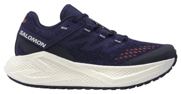 Scarpe da corsa Salomon Aero Glide 3 GRVL blu da donna