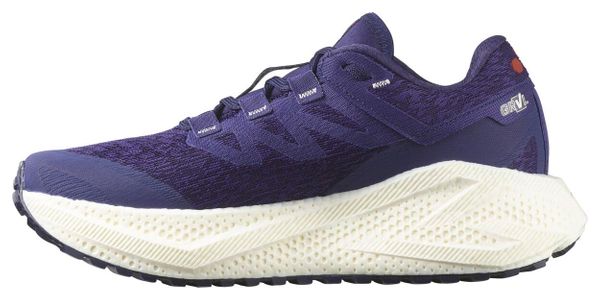Scarpe da corsa Salomon Aero Glide 3 GRVL blu da donna