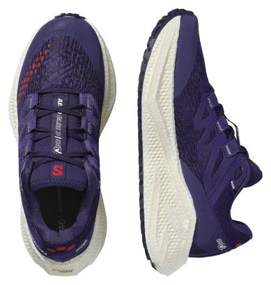 Scarpe da corsa Salomon Aero Glide 3 GRVL blu da donna