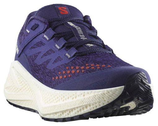 Scarpe da corsa Salomon Aero Glide 3 GRVL blu da donna