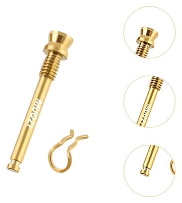 Vis étrier de frein à disque – Doré – 2 pièces + clips