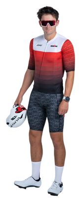 Calzoncillos de ciclismo Zoot LTD Cycle Seamless Ironman Velocity para hombre