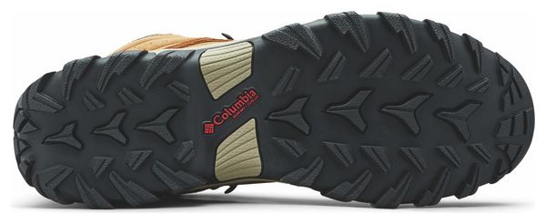 Columbia Newton Ridge Plus II Bruin Wandelschoenen