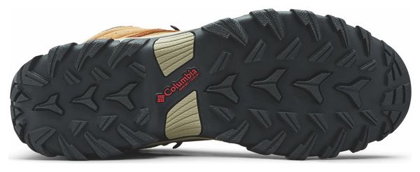 Zapatillas de senderismo Columbia Newton Ridge Plus II Marrones