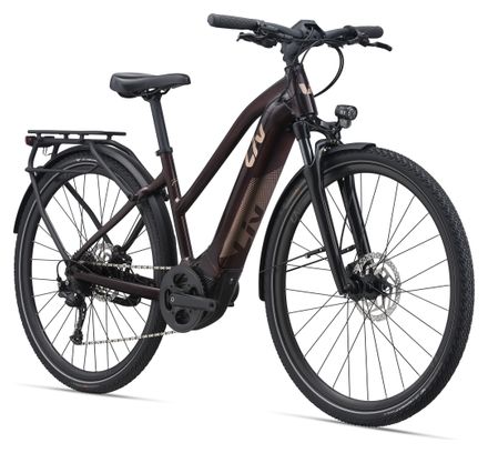 Bicicleta híbrida eléctrica Liv Amiti E+2 RideDash Evo Shimano Alivio 9V 500 Wh 700 mm Palo de rosa