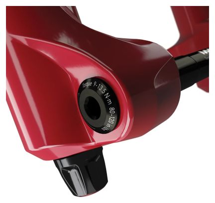 Forcella Rockshox Lyrik Ultimate RC2 29 '' | Boost 15x110 mm | Offset 51 | Rosso 2022