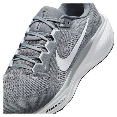 Nike Pegasus 41 Gris Homme Running Shoes