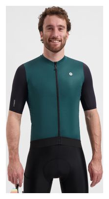 Maillot Manches Courtes Vélo Rogelli Distance II Homme