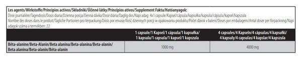 Beta Alanine Biotech (90 Caps) - Biotech Usa - Bêta-alanine