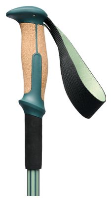 Bastoncini da trekking Black Diamond Trail Vista Shock Verdi