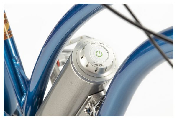Vélo Cruiser Electrique e-Hermitage Confort 330Wh Shimano Nexus 3i Bleu Métallisé