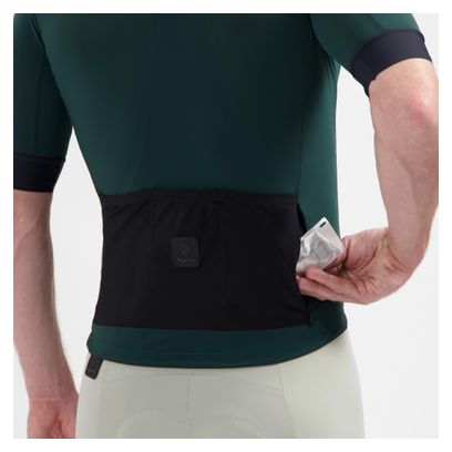 Maillot Manches Courtes Rogelli Signature Homme