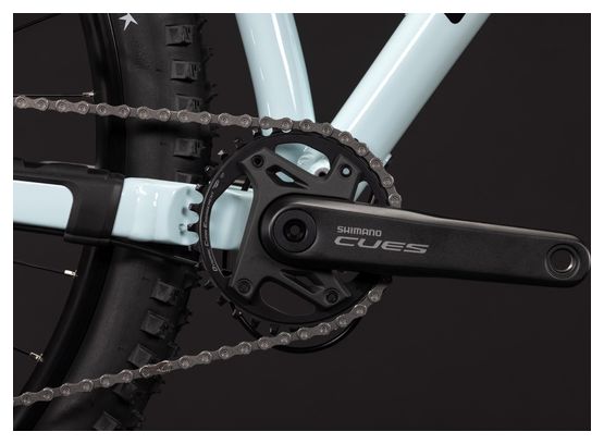 Mountainbike Cube Reaction TM One Shimano 11-fach 29'' Blau/Grün Kolibri 2027