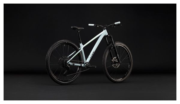 Mountainbike Cube Reaction TM One Shimano 11-fach 29'' Blau/Grün Kolibri 2027