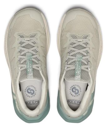 Scarpe da trekking Keen Targhee Apex WP Grigio Donna 