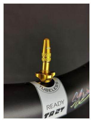 Paire de Valves Tubeless Ice Airflow 44mm Or
