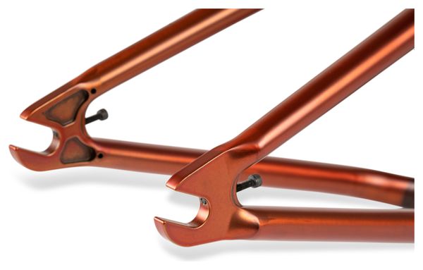 Cadre BMX WeThePeople Doomsayer Marron