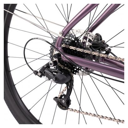 Gravel  BOMBTRACK Munroe Loop  Mettallic Purple