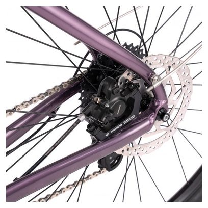 Gravel  BOMBTRACK Munroe Loop  Mettallic Purple