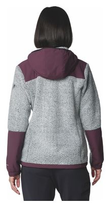 Polaire Femme Columbia Arctic Crest Full Zip Gris/Violet