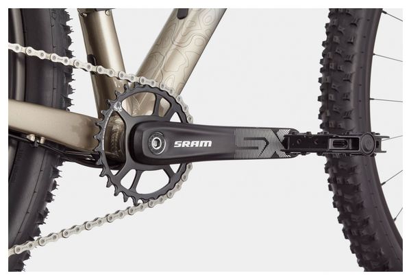Cannondale Trail SL 1 SRAM NX/SX Eagle 12V 29'' Hardtail Mountain Bike Meteor Grey Beige