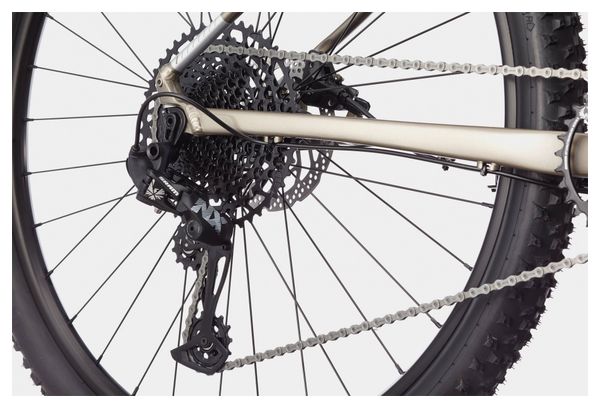 Cannondale Trail SL 1 SRAM NX/SX Eagle 12V 29'' Hardtail Mountain Bike Meteor Grey Beige