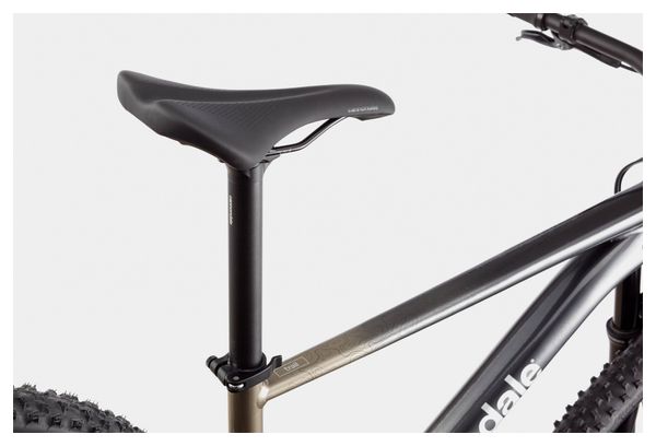 Cannondale Trail SL 1 SRAM NX/SX Eagle 12V 29'' Hardtail Mountain Bike Meteor Grey Beige