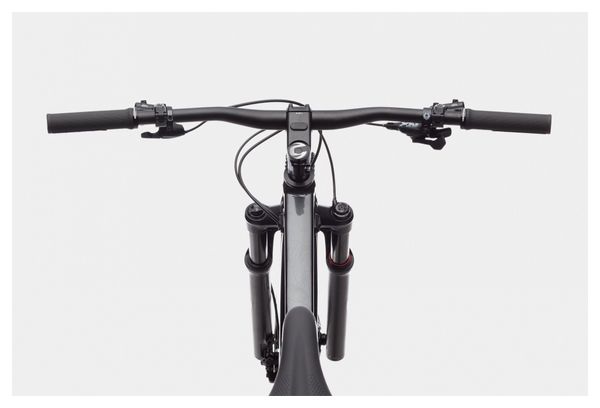 Cannondale Trail SL 1 SRAM NX/SX Eagle 12V 29'' Hardtail Mountain Bike Meteor Grey Beige