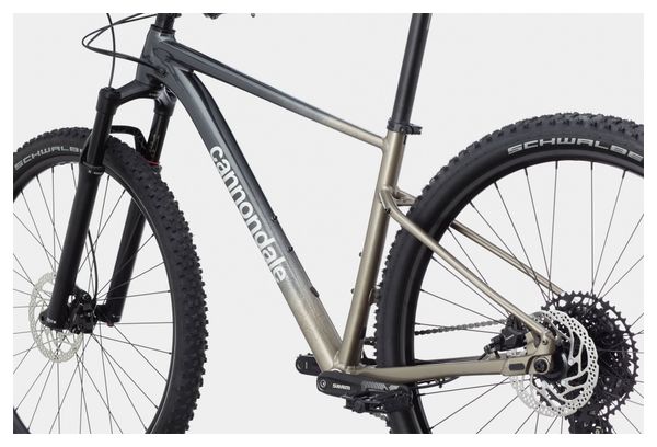 VTT Semi-Rigide Cannondale Trail SL 1 Sram NX/SX Eagle 12V 29'' Gris Meteor Beige