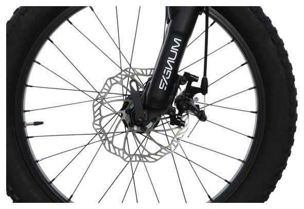 Scamp TallFox Shimano Tourney 7V 20'' Blu MTB semirigida per bambini