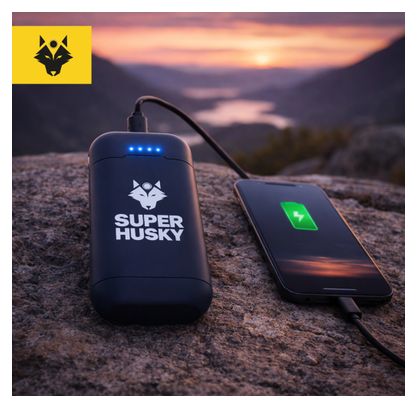 Batterie externe PB600