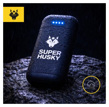 Batterie externe PB600