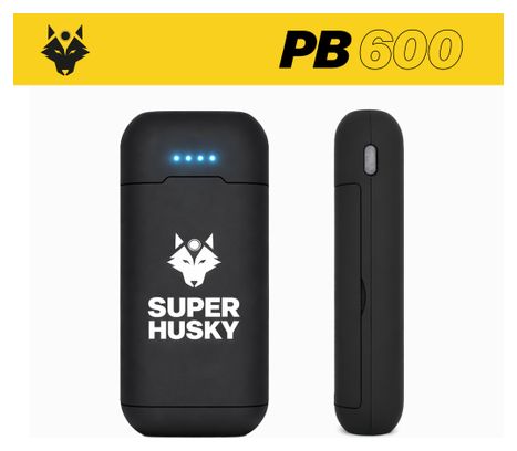 Batterie externe PB600