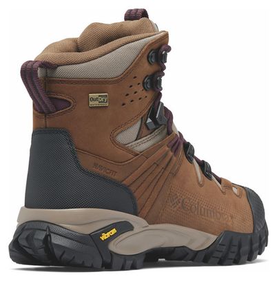 Women's hiking boots Columbia Geoterra OutDry Brown