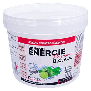  Boisson Fenioux Performance Progressive BCAA citron/menthe 1.5 kg