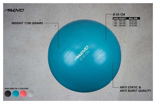 Avento Ballon de fitness/d'exercice Diamètre 65 cm Argenté