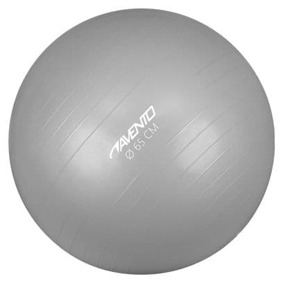 Avento Ballon de fitness/d'exercice Diamètre 65 cm Argenté