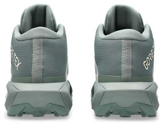 Scarpe da trail Asics Gel-Trabuco MT GTX Donna Verde