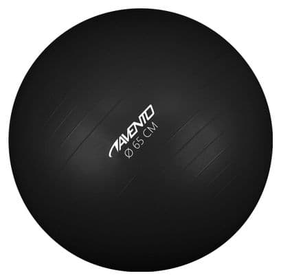 Avento Ballon de fitness/d'exercice Diamètre 65 cm Noir